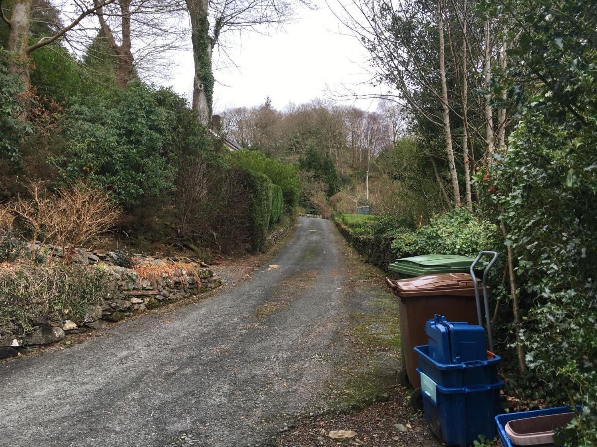 多尔盖罗Snowdonia Mawddach Escape别墅 外观 照片