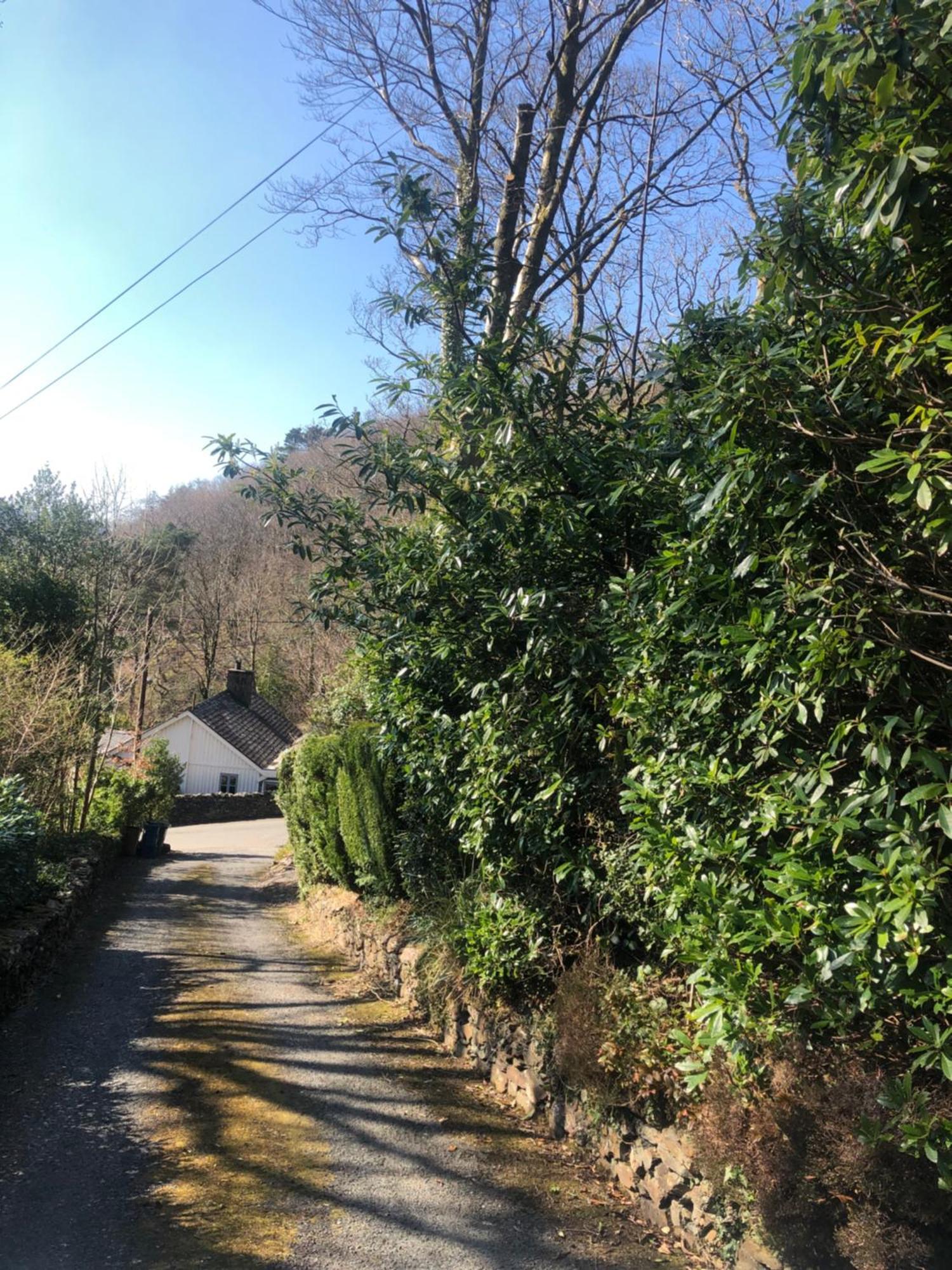 多尔盖罗Snowdonia Mawddach Escape别墅 外观 照片